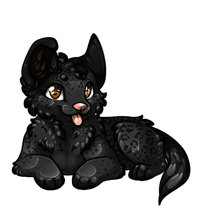 Pet image