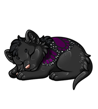 Pet image