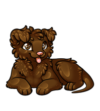 Pet image