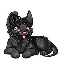 Pet image