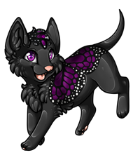 Pet image