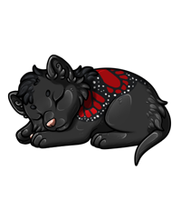 Pet image