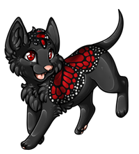 Pet image