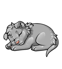 Pet image