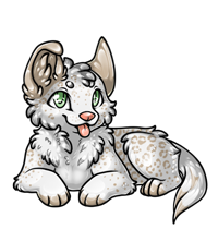 Pet image