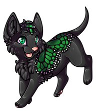 Pet image