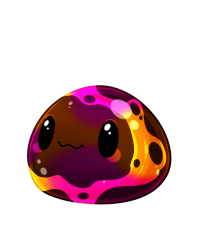 Pet image