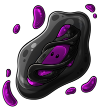 Pet image