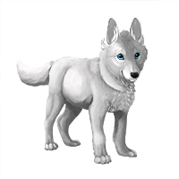 Pet image