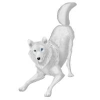 Pet image