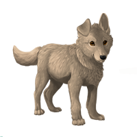 Pet image